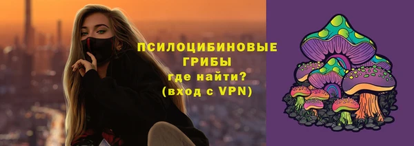 наркотики Бородино