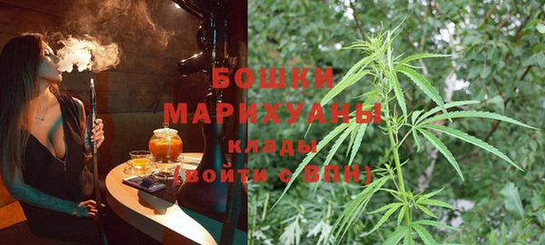 наркотики Бородино