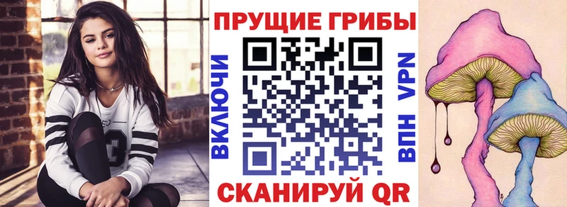 блэк спрут зеркало  что такое   Тюмень  Псилоцибиновые грибы GOLDEN TEACHER 